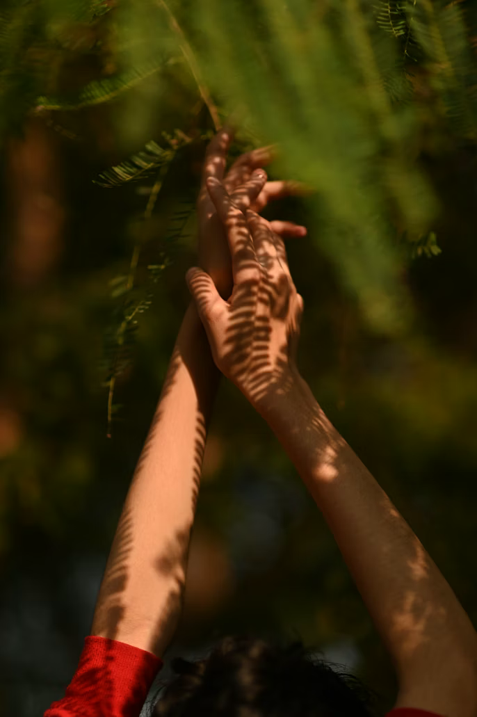 Hands reaching up through dappled fern light